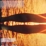 Fatboy Slim - Halfway Between The Gutter And The Stars [2LP]