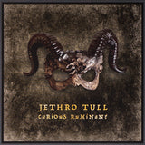 Jethro Tull - Curious Ruminant [LP]
