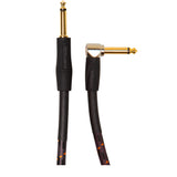 Roland RICG20A