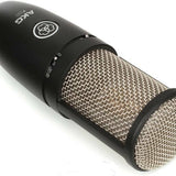 AKG P220