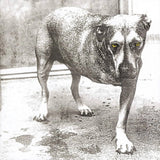 Alice In Chains - Alice In Chains (30Th Anniversary Reissue) [2LP] - Yellow