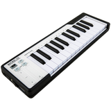 Arturia MicroLab - Black