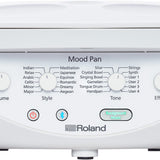 Roland MN10