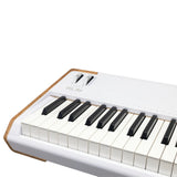 Arturia AstroLab 88 + V Collection X