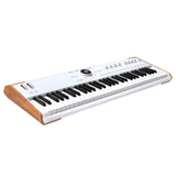 Arturia AstroLab 61 + V Collection X