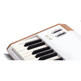 Arturia AstroLab 61 + V Collection X