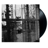 Paul McCartney - Chaos And Creation In The Backyard [LP]