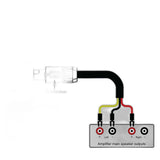 CHORD Epic High-Level Subwoofer Cable Spades - Speakon 3m