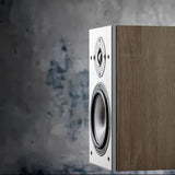 DALI Oberon 3 - Light Oak