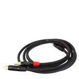 Rega Couple 3 - 1m