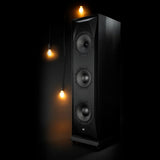 MoFi SourcePoint 888 - Black Ash