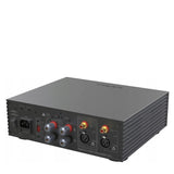 EverSolo AMP-F2
