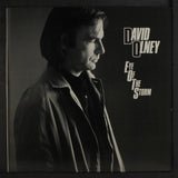 David Olney - Eye Of The Storm [LP]