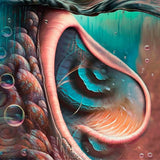 Various - Meddle Reimagined - A Tribute To Pink Floyd [LP] - Haze